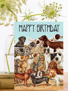 Birthday Card