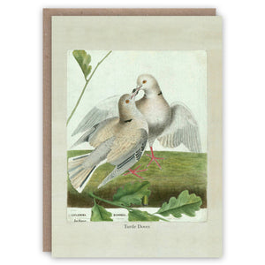 Turtle Doves greeting card