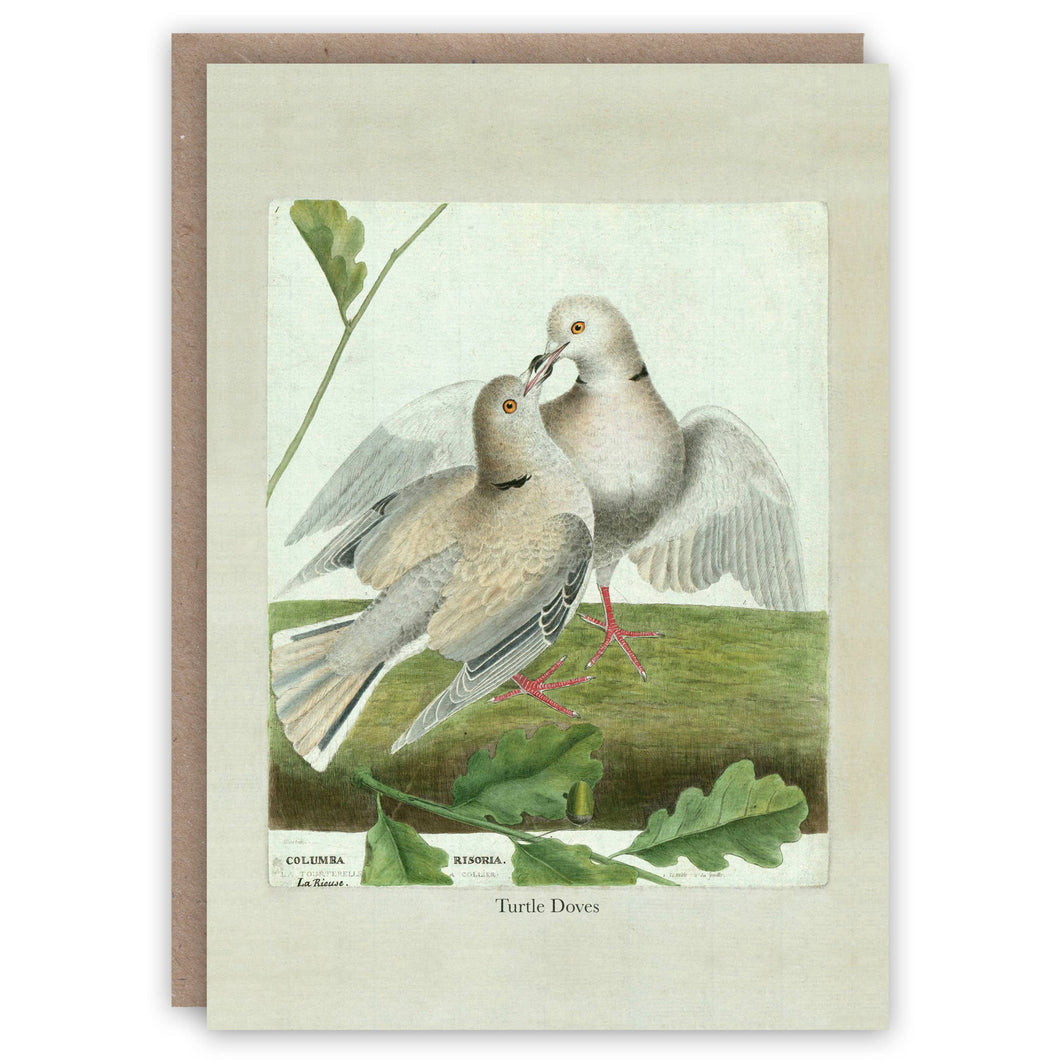 Turtle Doves greeting card