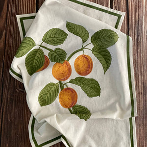 Apricot Floursack Kitchen Towel S/2