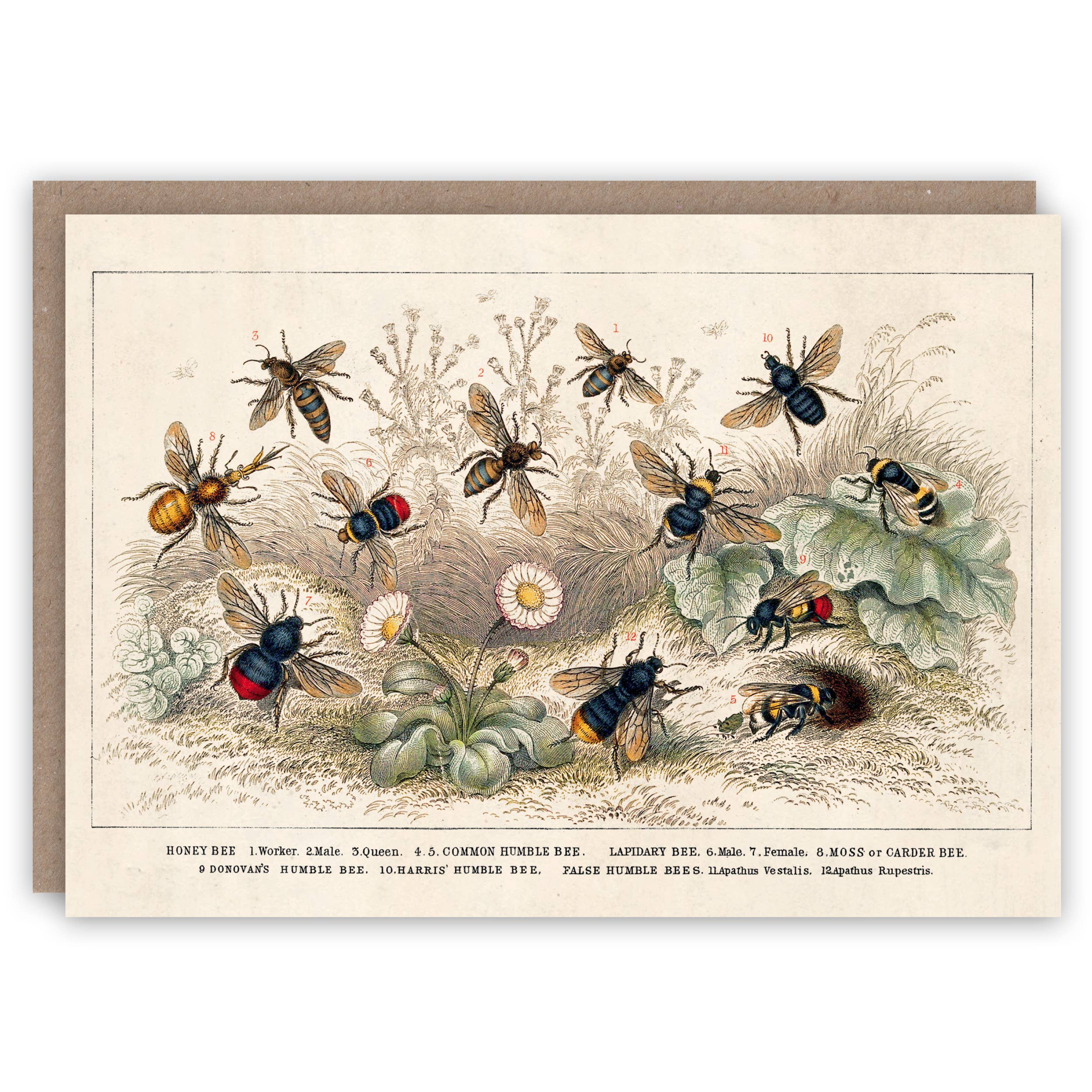 Carte de voeux d'abeille à miel