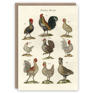 Poultry Breeds greeting card