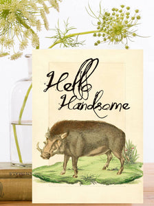 Hello Handsome Greeting Card