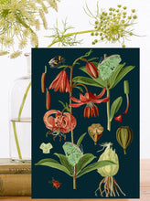 Load image into Gallery viewer, Blank Midnight Botanical Greeting Card