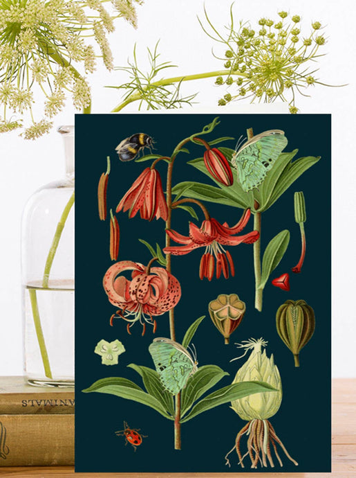 Blank Midnight Botanical Greeting Card