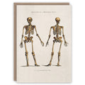 Anatomy of a Birthday Suit card