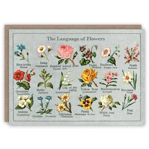Language of Flowers greeting card
